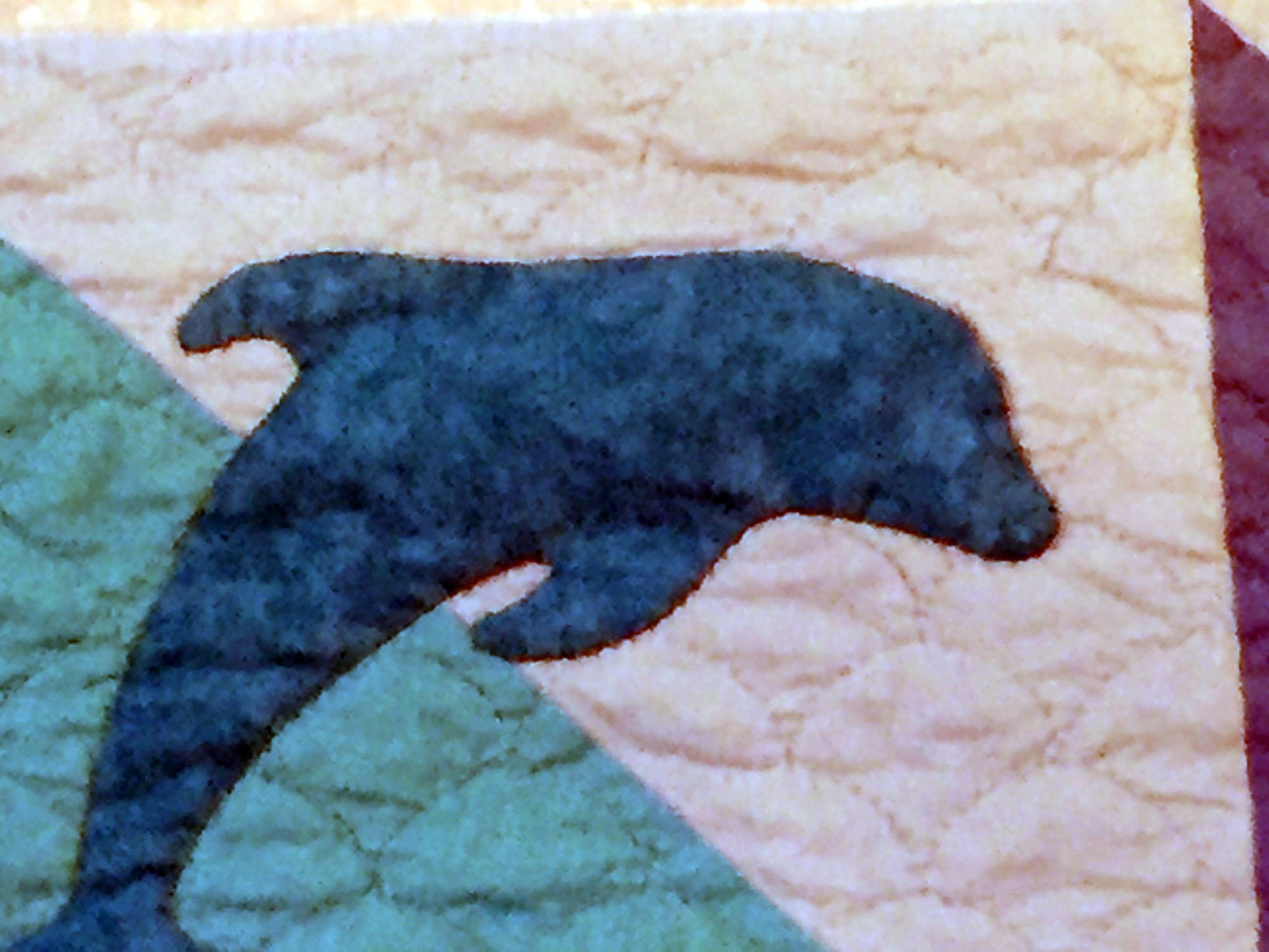 Maine image 5